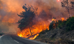 Lefkoşa İlçe Emniyet Kurulu toplandı: Yangın riski masada