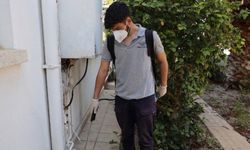 İskele’de sivrisinek ve haşereyle mücadele başladı