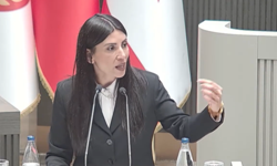 Özdenefe: Kırsal Kesim Arazileri Seçim Şovuna Dönüştürüldü