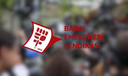Basın-Sen: Basın emekçileri dışlanarak özgürlük tartışılamaz