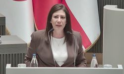 Sıla Usar İncirli’den Meclis’te komite çalışmasına tepki