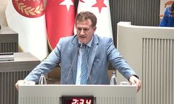 Arıklı’dan hükümet ortağına eleştiri: “İçeriğine bu haliyle karşıyız”