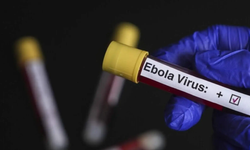 Bulaşıcı Hastalıklar Üst Komitesi'nden "Ebola"ya karşı yeni önlemler