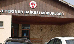 Veteriner Dairesi: "Gazimağusa Belediye Mezbahası’nın faaliyetleri geçici olarak askıya alınmıştır”
