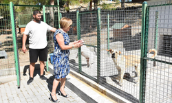 Merit International’dan Girne Belediyesi Hayvan Barınağı’na İlaç ve Bakım Desteği