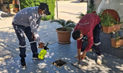 Mesarya Belediyesi haşereyle mücadeleyi sürdürüyor