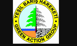 Yeşil Barış Hareketi'nden yangın değerlendirmesi!