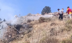 Taşkent ile Güngör arasındaki yangın kontrol altına alındı