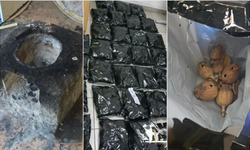 Güney Kıbrıs’ta İlk: 10 Kilodan Fazla Afyon Haşhaşı Ele Geçirildi