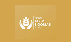 Patates üreticilerine ek süre: İtirazlar çarşamba gününe kadar yapılabilecek