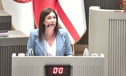 Sıla Usar İncirli’den hükümete: “Bu ülkenin sesini, rengini ve umudunu kaybettiriyorsunuz”