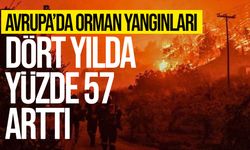 DSÖ: Avrupa’da orman yangınları yüzde 57 arttı