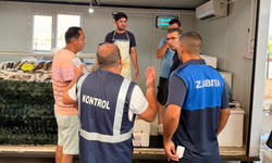 Lefkoşa Merkez Pazarı'nda balık denetimi: 7 kilo hamsiye el konuldu