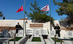 Taşpınar şehitleri düzenlenen törenle anıldı