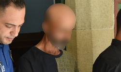 Lefke'de 5 kök yasaklı madde bitkisi ele geçirildi