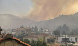 Rum Milli Muhafız Ordusu'nun eğitim atışları yangına neden oldu