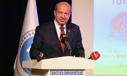 Ersin Tatar: Türkiye'nin garantörlüğü ve TSK'nın varlığı kırmızı çizgimizdir