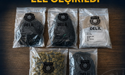 Paşaköy'de 500 gram yasaklı madde ele geçirildi