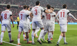 A Milli Takım'ın Belçika ve Fransa maçlarının oynanacağı statlar belli oldu