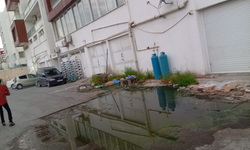 Lefke Çevre ve Ekoloji Derneği, yeniden foseptik birikimi tespit etti