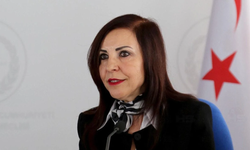 Emine Dizdarlı: "Karma oyun kaldırılması Anayasa’ya aykırıdır"