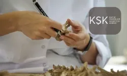 Kuveyt'ten Kayıp Şahıslar Komitesi'ne 50 bin dolarlık bağış