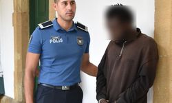1733 gündür kaçak yaşayan zanlı mahkemeye çıkarıldı!