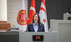 Sıla Usar İncirli’den “Toplum Güvenliği” İçin Olağanüstü Meclis Çağrısı