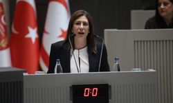 Sıla Usar İncirli’den Ünal Üstel’e sert tepki: Arıklı’yı görevden almak sizi aklamaz