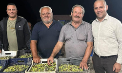 Büyükkonuk Zeytin Kooperatifi 28 üyeden 250 üreticiye ulaştı