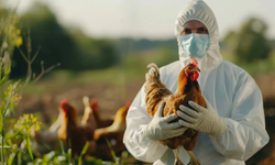 Güney Kıbrıs’ta H5N1 tespit edildi, Veteriner Dairesi uyardı
