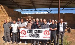 Hür-İş’ten Ercan Çiftliği’nde personel eksikliğine tepki