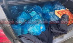 Metehan Sınır Kapısı'nda 100 kilogram dana eti ele geçirildi