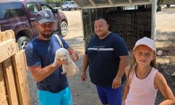 Mehmetçik Büyükkonuk’ta 20 köpek kısırlaştırıldı, 33 köpek sahiplendirildi