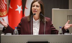 İncirli’den ülkeye giriş ve nüfus takibi için yeni sistem önerisi