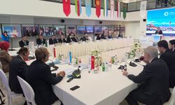 Kıbrıs Türk Kızılay, Türk Devletleri Kızılay ağı toplantısına katıldı