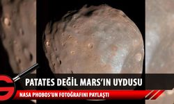 NASA, Mars'ın doğal uydusu Phobos'u paylaştı