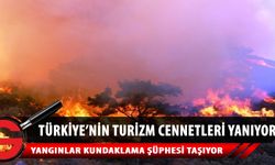 Türkiye'nin 'ciğerleri' yanıyor: 7 ilde 12 noktada orman yangını