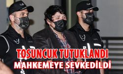 Tosuncuk lakaplı Mehmet Aydın tutuklandı
