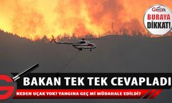 Tarım ve Orman Bakanlığı’ndan orman yangınlarıyla ilgili açıklama