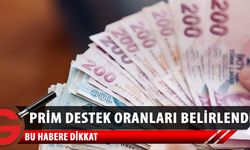 Prim destek oranları belirlendi