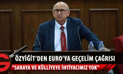 TDP Genel Başkanı Cemal Özyiğit, TL'nin değer kaybına dikkati çekerek Euro'ya geçişin konuşulması gerektiğini söyledi