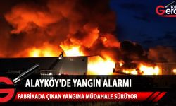 Alayköy Sanayi Bölgesi'nde fabrikadan çıkan yangına itfaiye ekiplerinin müdahalesi ediyor