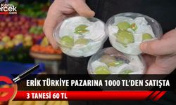 Türkiye'de Erik 1000 liradan tezgaha indi