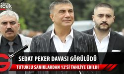 Sedat Peker suç örgütü davasında ara karar