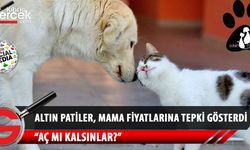 Altın Patiler Derneği'nden mama fiyatlarına tepki