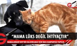 Kedi-köpek mamalarındaki KDV'nin kaldırılması için kampanya: 108 bin imza toplandı