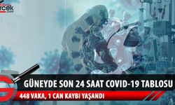 Güney Kıbrıs'ta son 24 saat Covid-19 verileri açıklandı