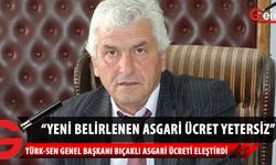TÜRK-SEN Başkanı Arslan Bıçaklı, asgari ücrete yapılan yüzde 41 zammın yetersiz olduğunu belirtti