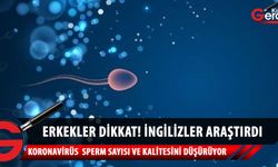 Erkekler dikkat! Koronavirüs sperm sayısı ve kalitesini düşürüyor
